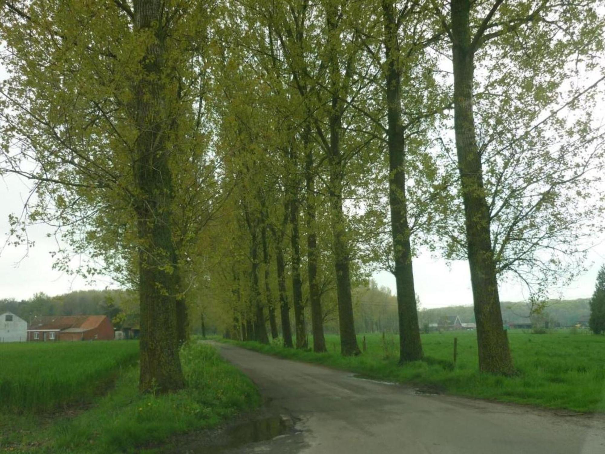 Studio In Ieper With Terrace ภายนอก รูปภาพ