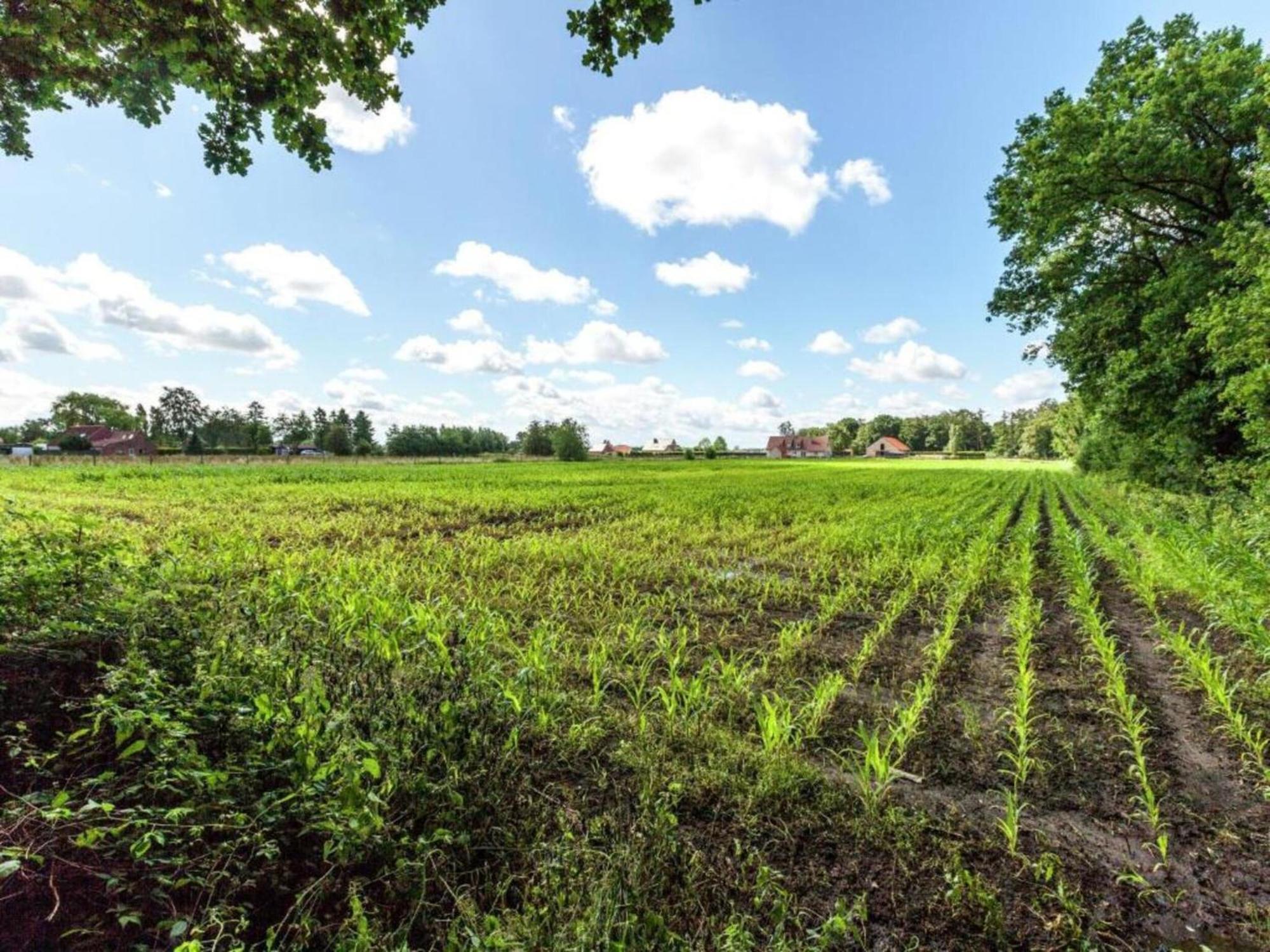 Studio In Ieper With Terrace ภายนอก รูปภาพ